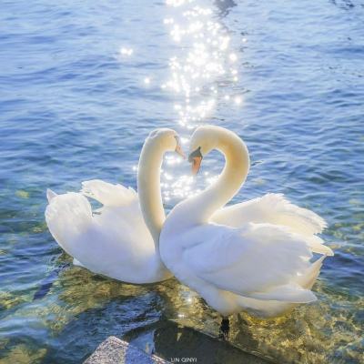 乐彩彩票welcome下载手机版