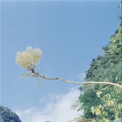 百人牛牛游戏软件手机app下载