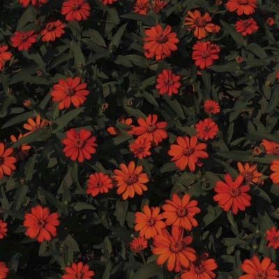 AG百家家乐appapp下载