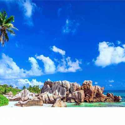 米乐网下载手机版截图