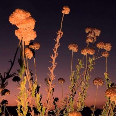 购彩中心welcome官网手机app下载